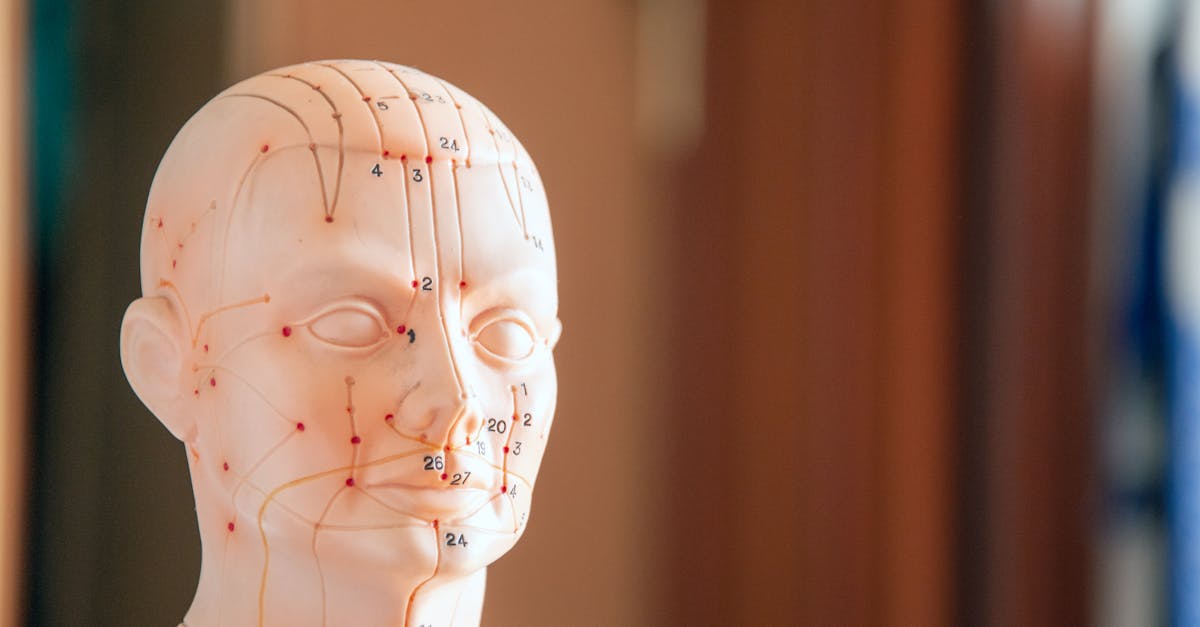 découvrez l'acupression, une technique holistique qui combine la médecine traditionnelle chinoise et la thérapie manuelle pour soulager le stress, apaiser les douleurs et améliorer le bien-être général. explorez ses bienfaits et apprenez comment cette pratique ancestrale peut enrichir votre vie quotidienne.