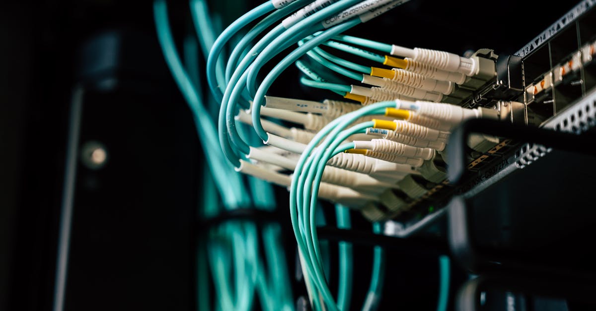 découvrez notre guide complet sur l'utilisation et les bienfaits des plugs anaux. explorez les différentes options disponibles, des conseils pour débutants aux pratiques avancées, et trouvez le plaisir en toute sécurité.